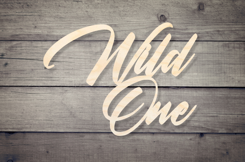 Wild One Ver2  Wooden Backdrop Decor Baby Shower Decoration Wood Sign