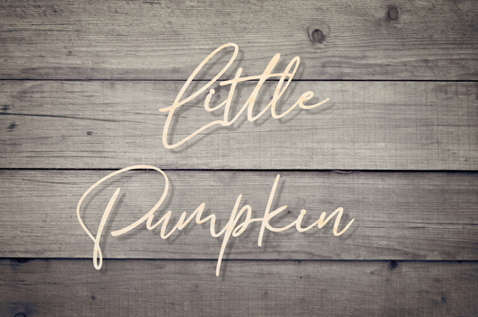 Little Pumpkin Ver3 Wooden Backdrop Decor Baby Shower Decoration Wood Sign